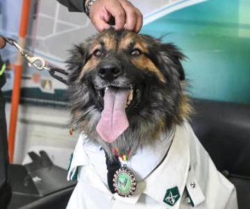 Rex protagoniza la misa para las mascotas en el Comando de Valle Bajo 