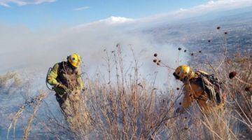 Incendio en el Parque Nacional Tunari afecta viviendas, animales y sembradíos