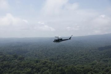 Panamá y Colombia trabajan en la selva del Darién para frenar al Clan del Golfo