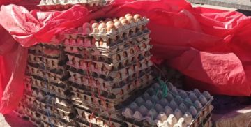 Alcaldía anuncia venta de pollo y huevo en precios economicos 