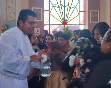 Iglesia Católica prepara misas y bendiciones de mascotas por San Roque