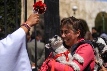 Bolivia celebra el Día de San Roque con ceremonias de bendición y homenajes a las mascotas