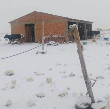 Nevadas golpean a más de 26.000 familias en el país, Potosí es el departamento más afectado