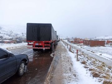 Nevadas afectan a la producción y ganado en 10 municipios de Cochabamba