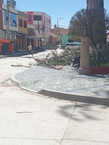 Se reportó caída de árboles, techos arrancados, vehículos dañados, además de muros caídos.