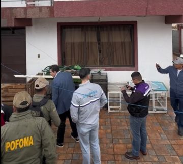 Cochabamba: Alcaldía y POFOMA intervienen criadero clandestino