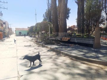 Se reportó caída de árboles, techos arrancados, vehículos dañados, además de muros caídos.