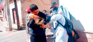 Sedes reporta 1.203 personas mordidas por perros a la fecha