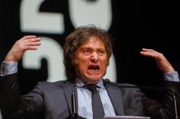 Milei toma distancia de Cerimedo y denuncia que Lula da Silva  y Evo Morales están detrás del escándalo