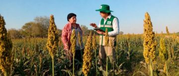 INE abre postulaciones para el Censo Agropecuario