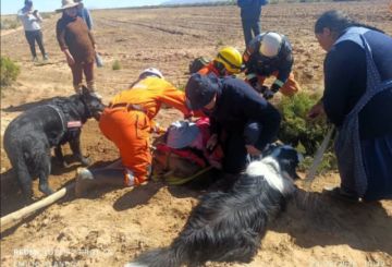 Iron y Locky e la Brigada Canina K9 SAR Bolivia ayudaron a encontrar con vida a una mujer desaparecida