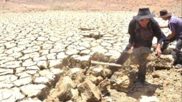 Concejales vializaran declaratoria como zona de desastre por sequía