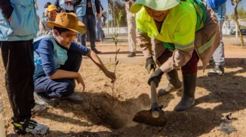 Cochabamba: Plantan más de 150 árboles en campaña de reforestación de la Laguna Alalay