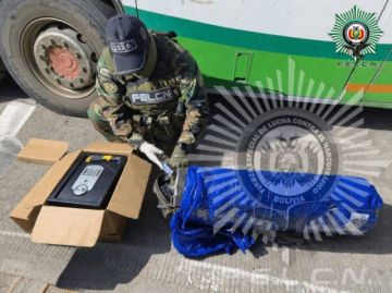 Santa Cruz: FELCN Intercepta dr*g@ camuflada en un saco de boxeo