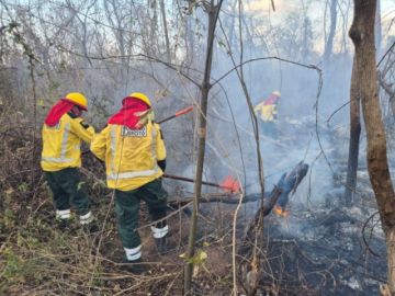 Santa Cruz: Sofocan incendios forestales en San Rafael y San Ignacio de Velasco