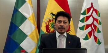 Ministro Aramayo informó que Bolivia solicitó a la OEA el despliegue de una misión de observación 