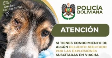 Policía habilita línea de auxilio para atender a canes afectados por las explosiones en Viacha