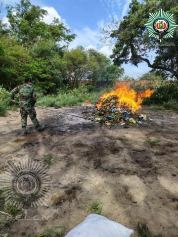 FELCN incinera droga secuestrada en Oruro y Santa Cruz