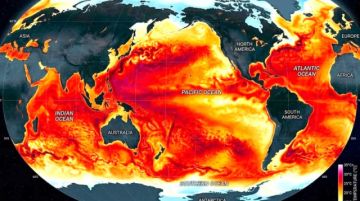 La OMM advierte que el fenómeno climatológico se intensificará.