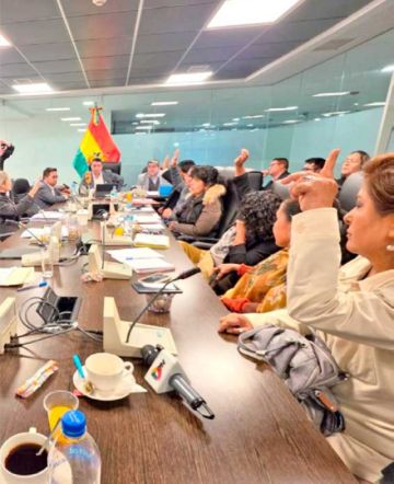 Comisión aprueba el crédito con el FMI