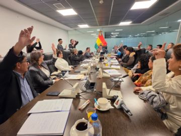 Comisión aprueba crédito de $us 1.900 millones del FMI y lo remite al pleno de Diputados