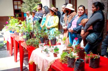 Feria de flores y plantas de altura inicia el 21 de septiembre en su versión XXV