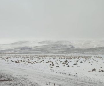 La Reserva Eduardo Avaroa suspende visitas por nevadas