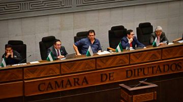 Crédito del FMI: Senado sesiona este viernes tras su aprobación en Diputados