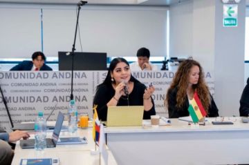 Bolivia participa en la validación Subregional de Preparación Inclusiva ante Desastres