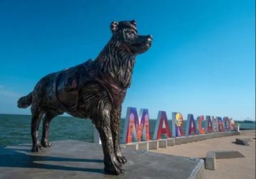 Venezuela: Rinden homenaje a Tsunami, el perro rescatista
