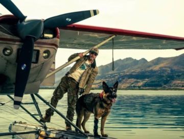 Brad Pitt elogia a su coestrella el perrito "Uber" en la nueva cinta 'El corazón de la bestia'