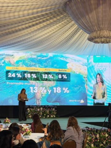 Minería con igualdad: foro plantea llevar la participación de las mujeres a los espacios de decisión