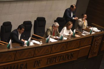 La Cámara de Diputados trata el proyecto de ley para suspender a Mariaca