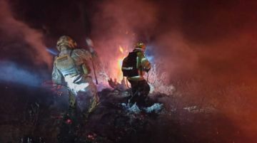 Incendios forestales afectan 1,25 millones de hectáreas en Bolivia