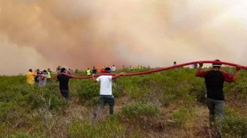 Incendios forestales se mantienen activos en al menos cuatro regiones de Perú