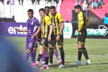 La desazón de los atigrados al final del duelo.