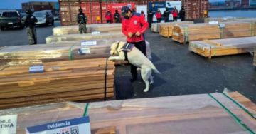 Caso Maderas provoca daños considerables al sector; Bolivia pide pruebas técnicas a Chile