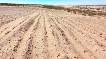 La falta de agua afecta a las 45 comunidades.
