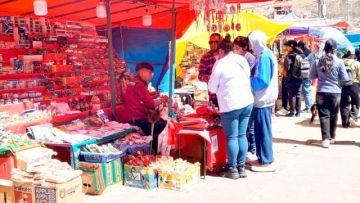 Las familias llegaron para visitar la feria.