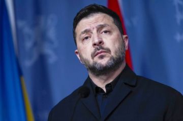 Zelenski estaría dispuesto a “congelar” líneas del frente en busca de la paz con Rusia