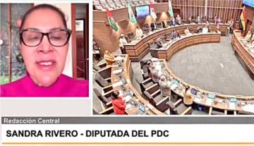 Ratifican denuncias contra Presidente de Diputados y piden auditoría