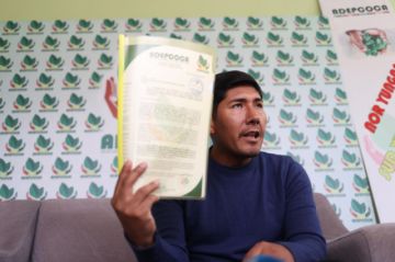 Cocaleros de La Paz piden sancionar con cárcel la producción ilegal