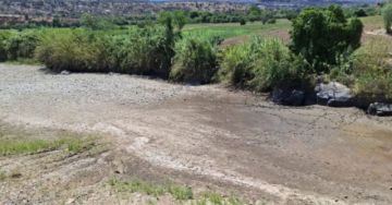 Cochabamba: Mizque alista declaratoria de desastre por sequía que afecta a 36 comunidades