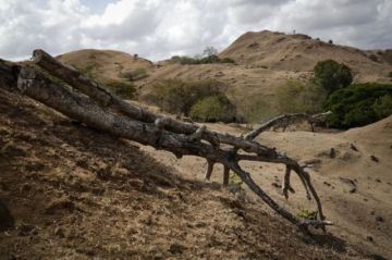 La OEA urge a preparase contra las severas consecuencias de El Niño