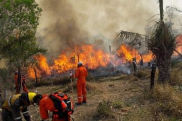Bolivia reporta menos del 1% de afectación por incendios forestales 