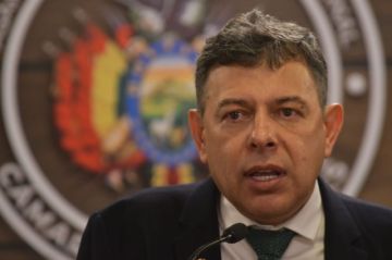 El Senado reelige a Diego Ávila como su presidente