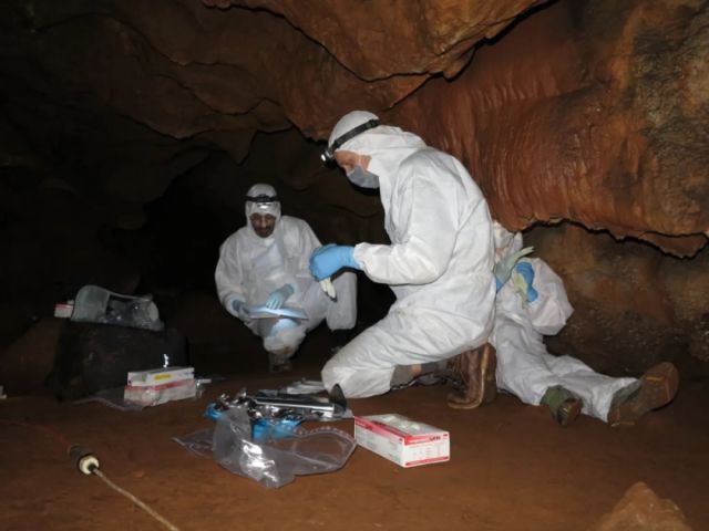 Hallan ADN humano de más de 2.000 años de antigüedad en cuevas de España y Portugal