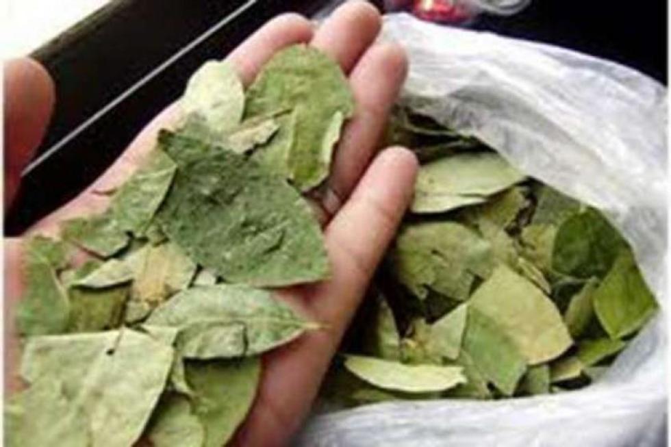 El precio del kilo de coca se duplica en 10 años 