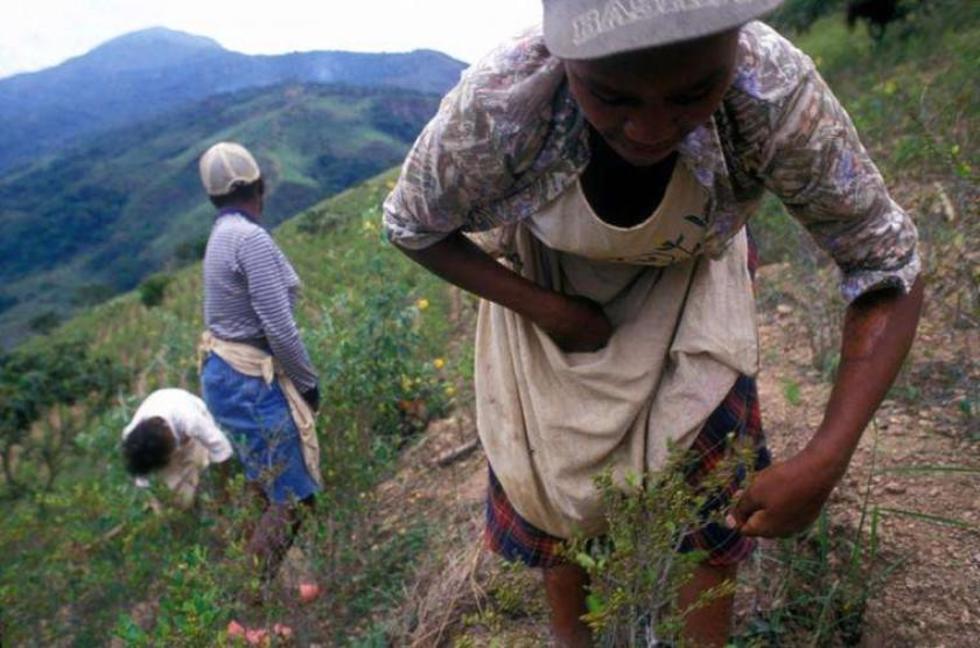 Afrobolivianos se declaran en alerta por su exclusión de estatuto 