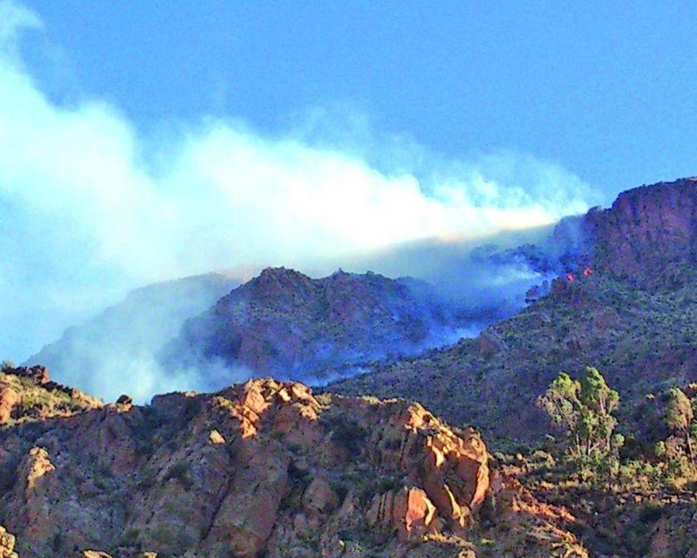 Bomberos controlan  un incendio forestal
